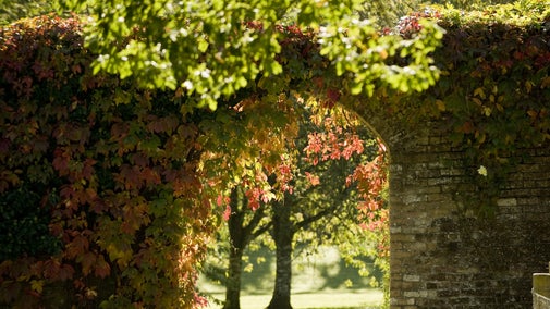 View through an arch in the garden wall at Florence Court, County Fermanagh